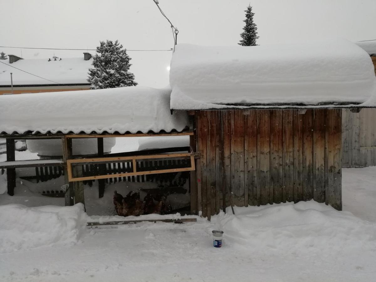 Haus Gell Hotel Mauterndorf  Kültér fotó